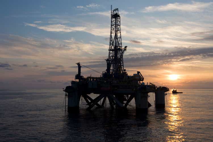 Gulf of Mexico oil drilling faces menace from courtroom ruling on endangered species