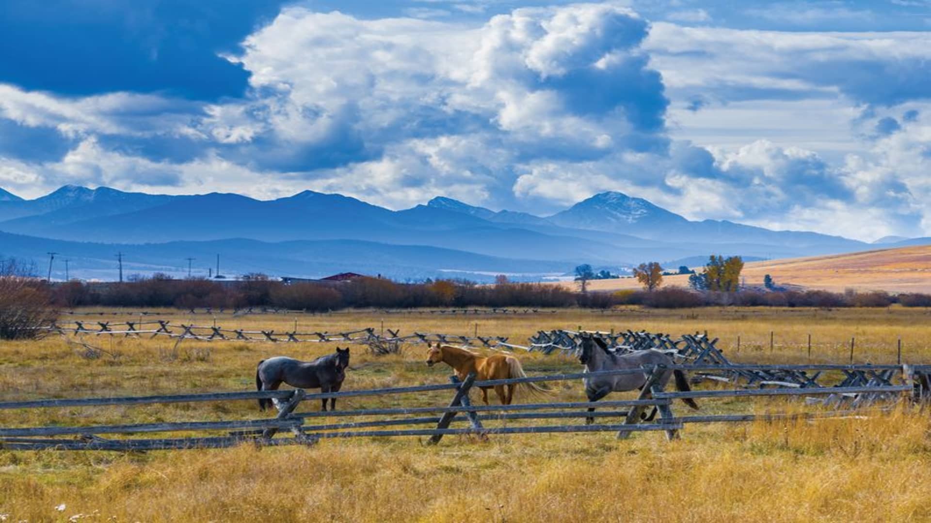 Trophy-property ranches hit the market as extra heirs select to promote